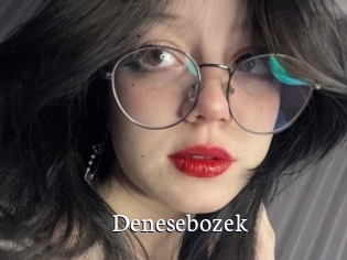 Denesebozek