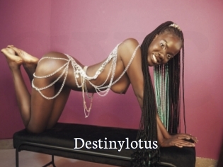 Destinylotus