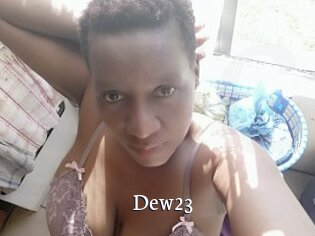 Dew23