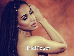 Didiflower