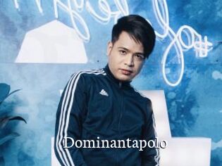 Dominantapolo