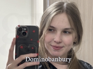 Dominobanbury