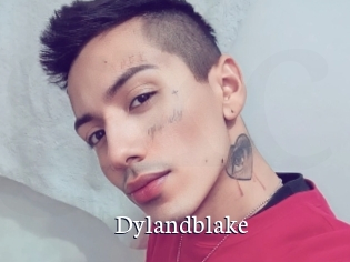 Dylandblake