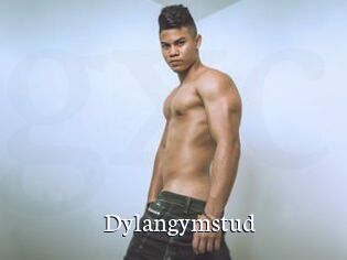 Dylangymstud