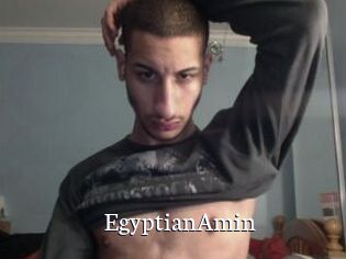 EgyptianAmin