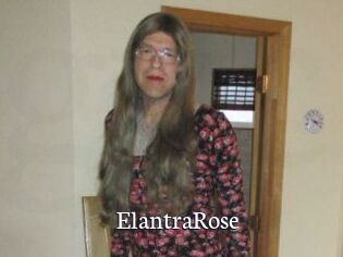 Elantra_Rose
