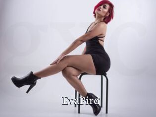EvaBird