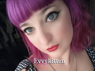 Evvykitten
