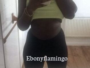 Ebony_flamingo