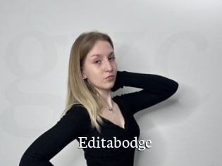 Editabodge