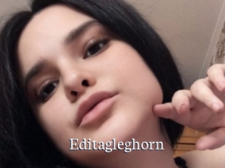 Editagleghorn