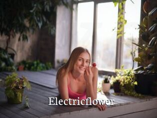 Electricflower