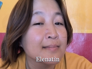 Elenatin