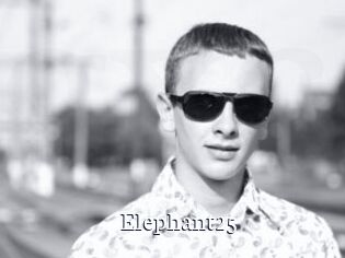 Elephant25