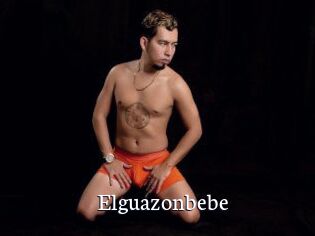 Elguazonbebe