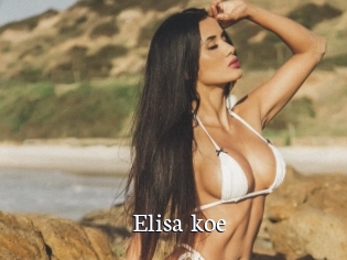 Elisa_koe