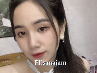 Elisanajam