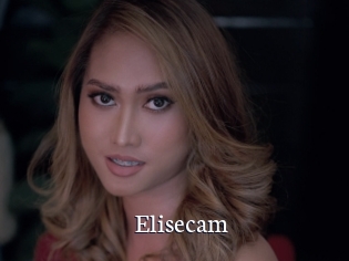 Elisecam