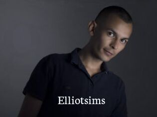Elliotsims