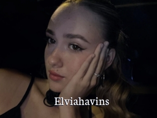 Elviahavins
