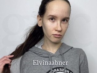 Elvinaabner