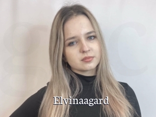 Elvinaagard