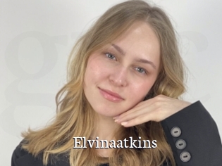 Elvinaatkins