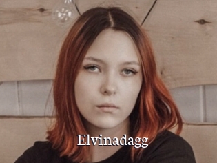 Elvinadagg