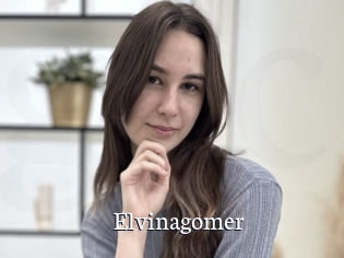 Elvinagomer