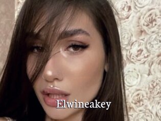 Elwineakey