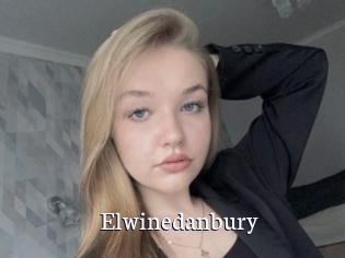 Elwinedanbury