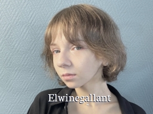 Elwinegallant