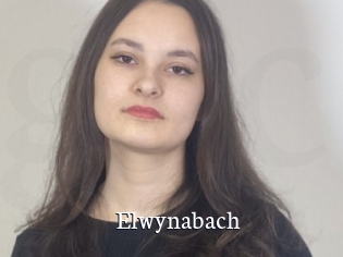 Elwynabach