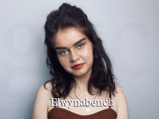 Elwynabench