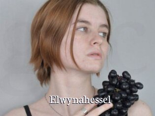 Elwynahessel