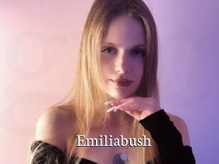 Emiliabush