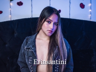 Erinsantini