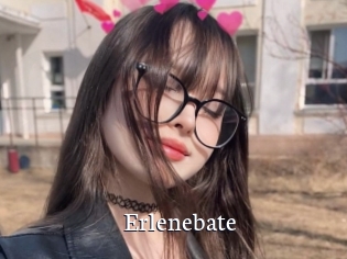 Erlenebate