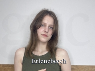 Erlenebeech