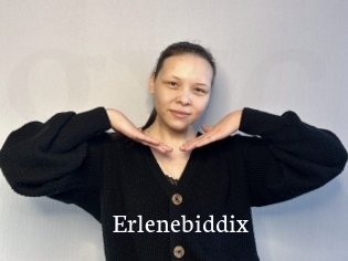 Erlenebiddix