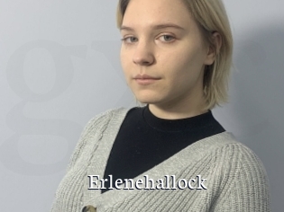 Erlenehallock