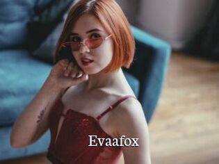 Evaafox