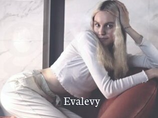 Evalevy