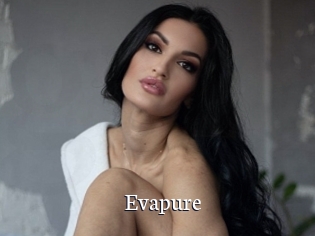 Evapure