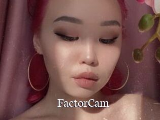 FactorCam