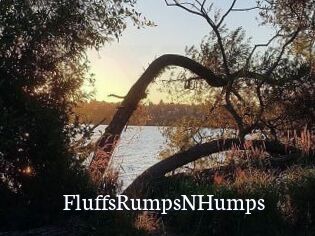 FluffsRumpsNHumps