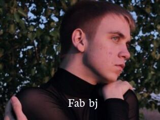Fab_bj