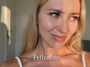 Felicecam