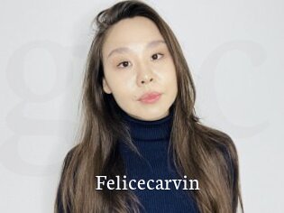 Felicecarvin