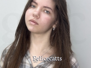 Felicecatts